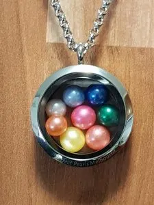 29745460_2124540867564033_2032185521_n